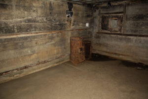 Maisy Battery
