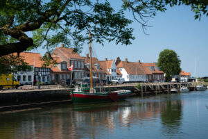 Ribe