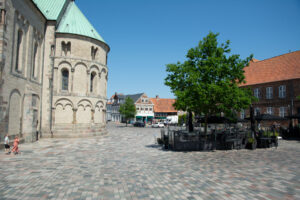 Ribe