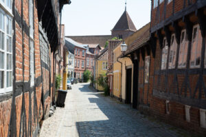 Ribe