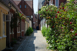 Ribe