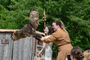 VikingCenter
